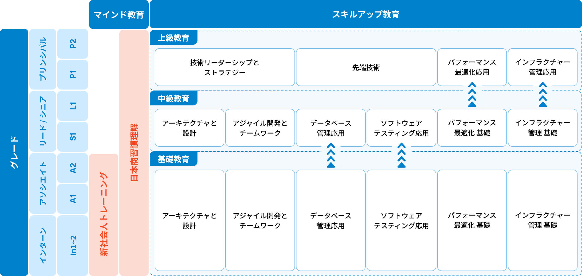 体系的な成長ステップ