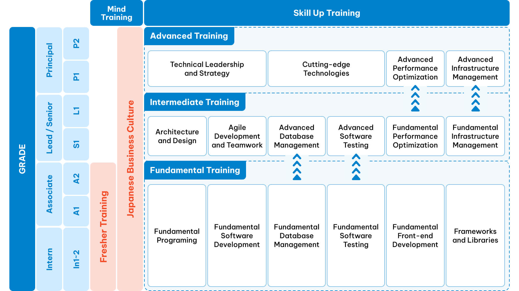 Systematic development steps