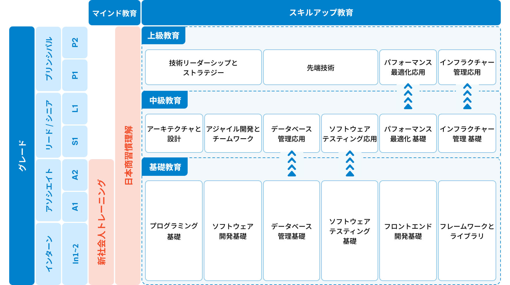 体系的な成長ステップ