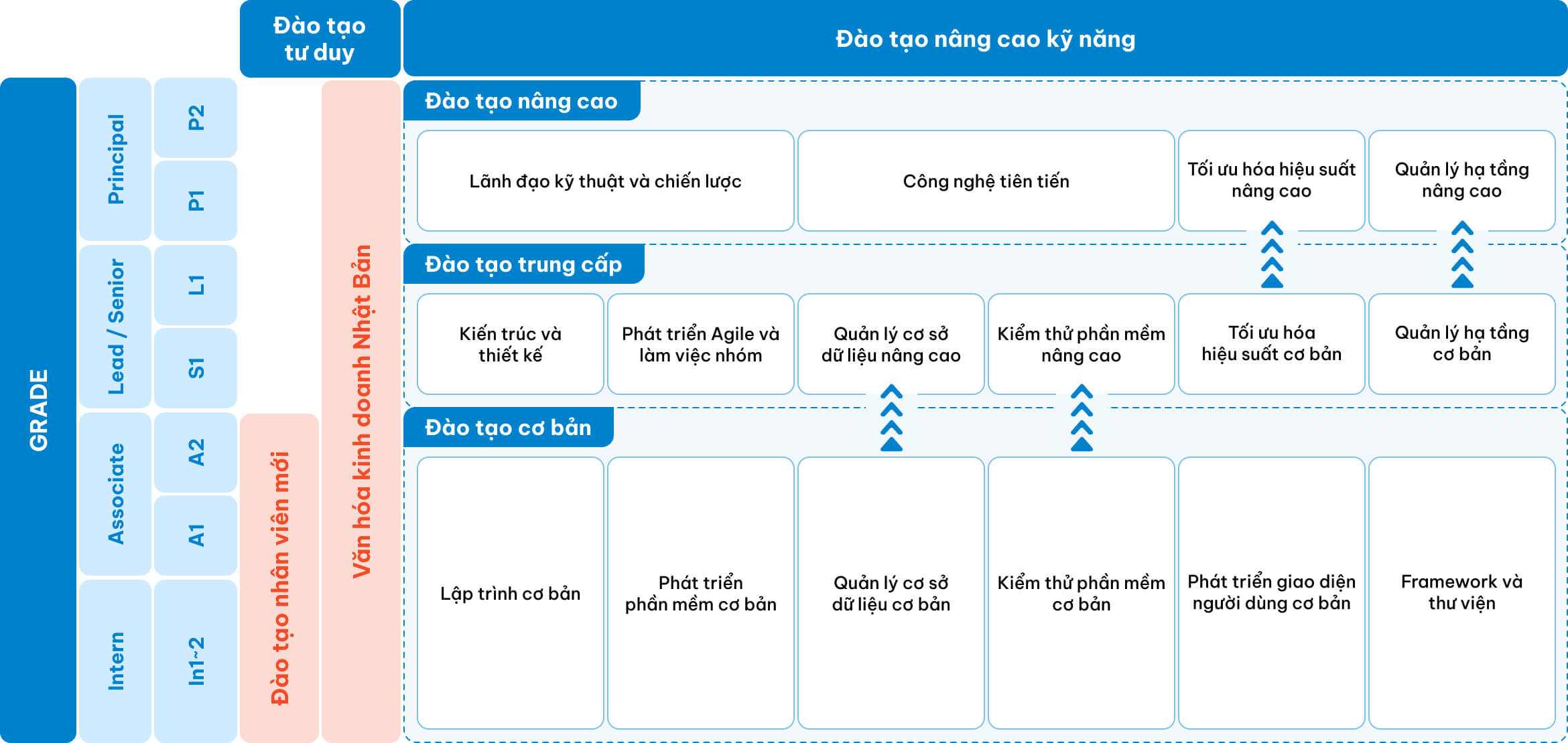 Các bước phát triển có hệ thống