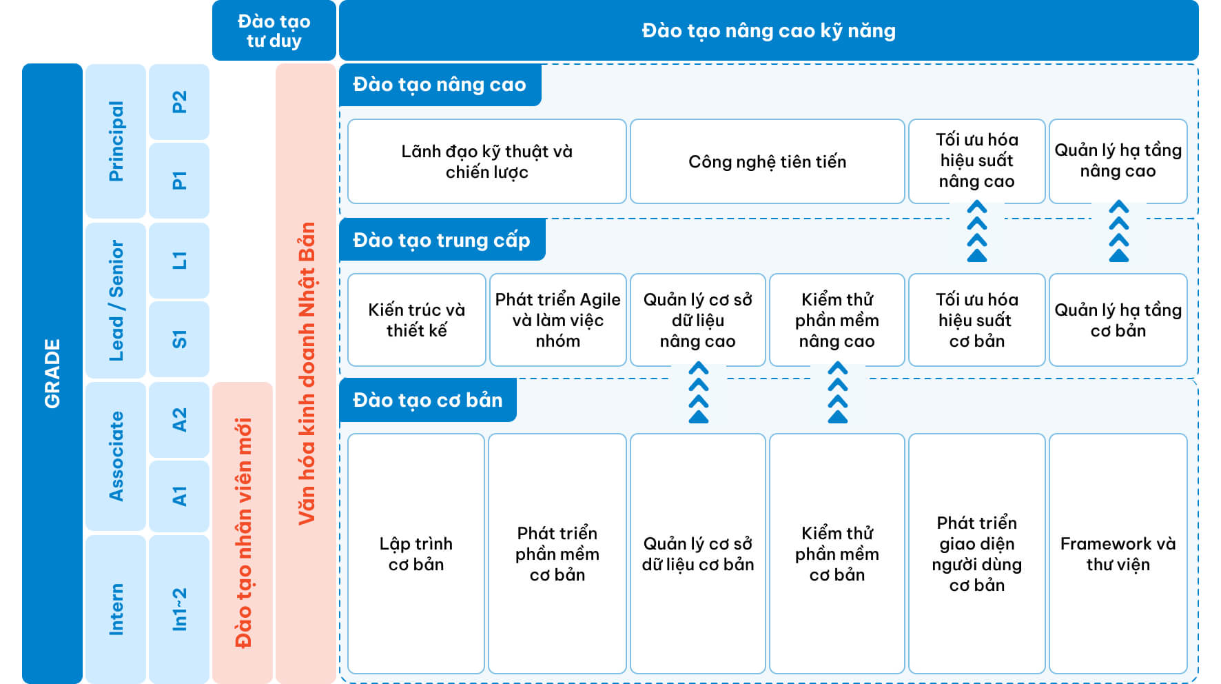 Các bước phát triển có hệ thống